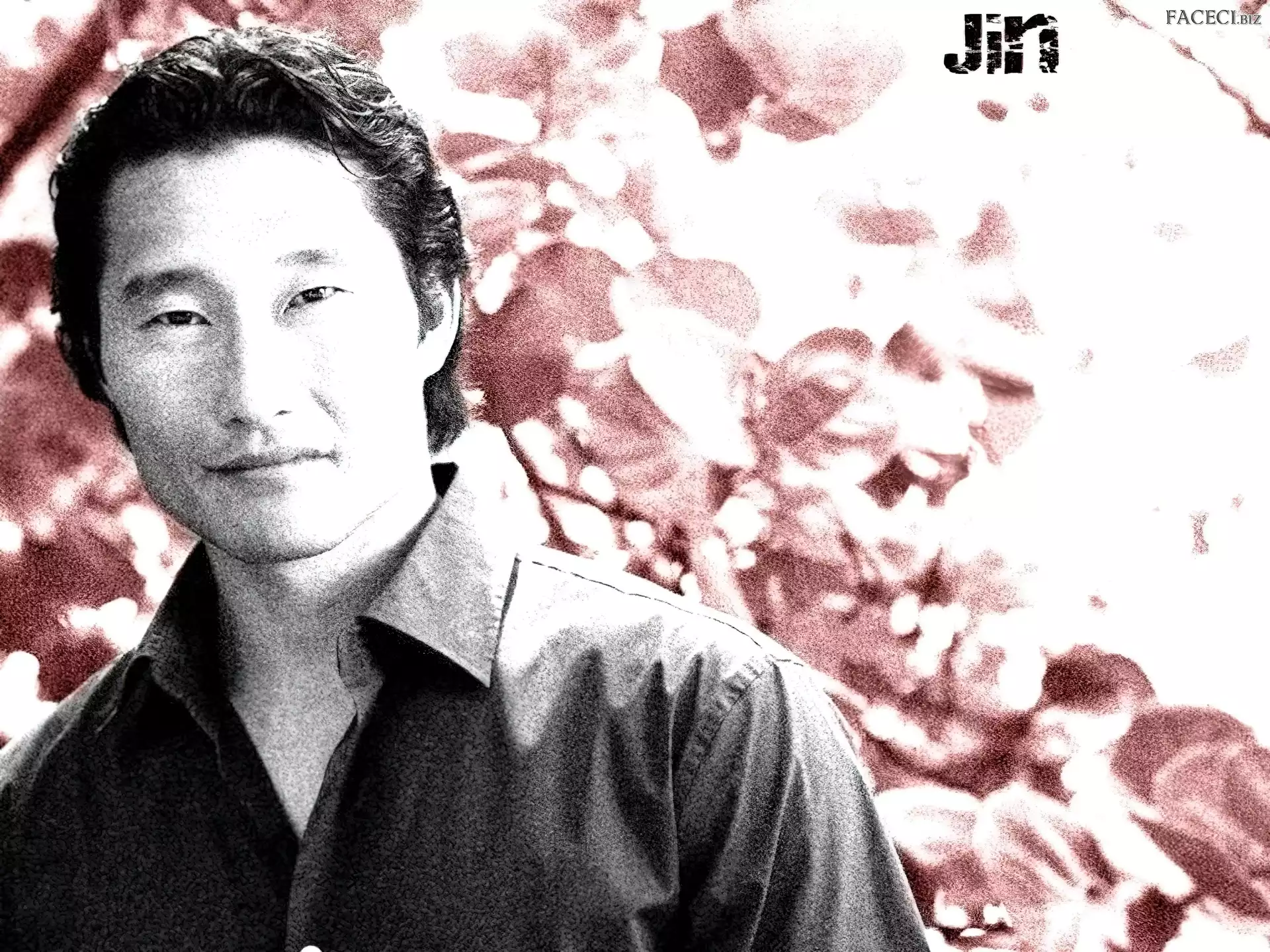 Daniel Dae Kim, Serial, Lost